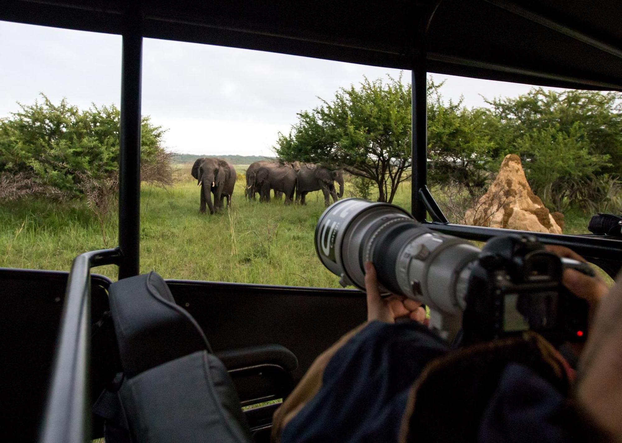 Royal Thonga Safari Lodge Sihangwane Екстериор снимка
