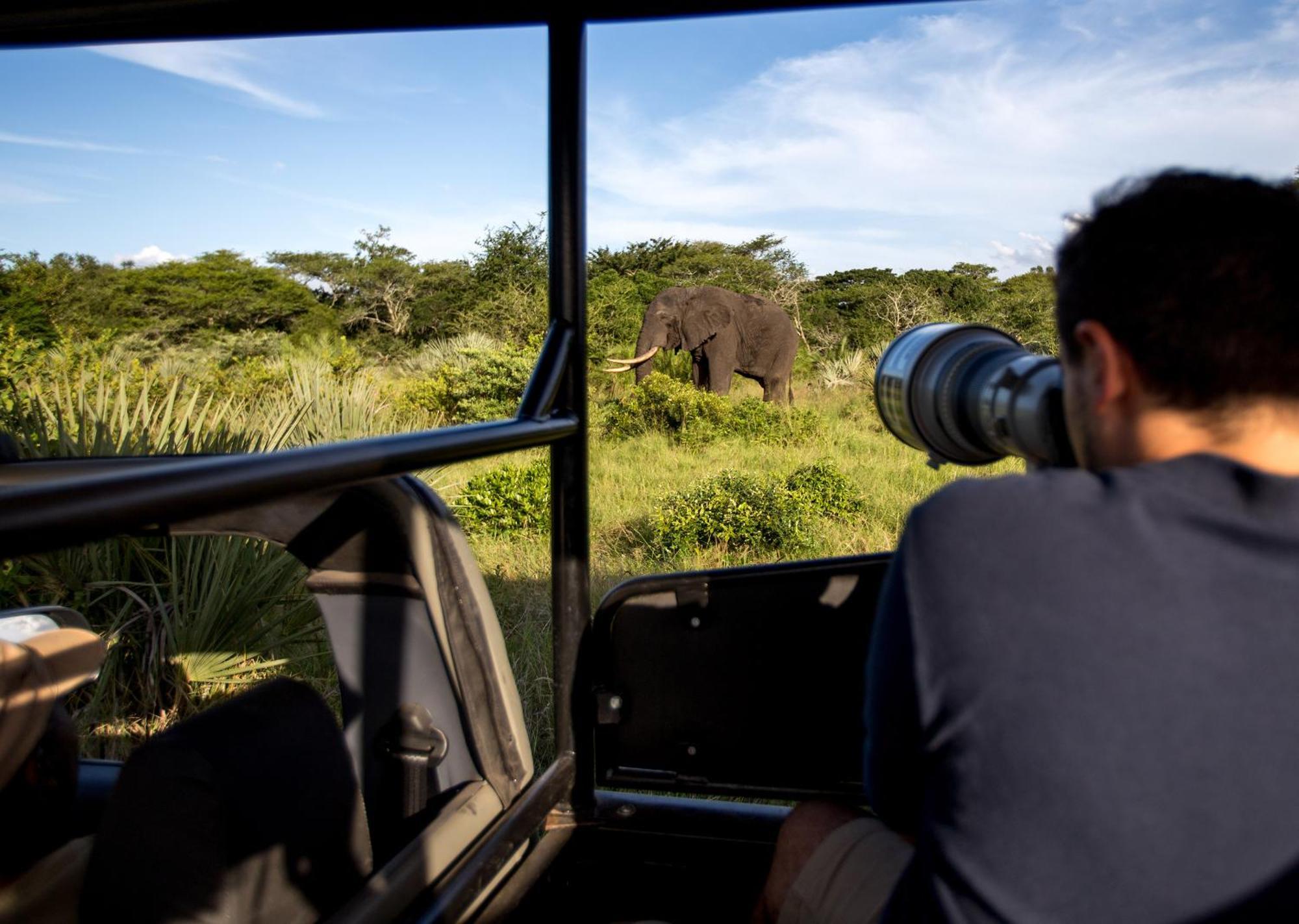 Royal Thonga Safari Lodge Sihangwane Екстериор снимка