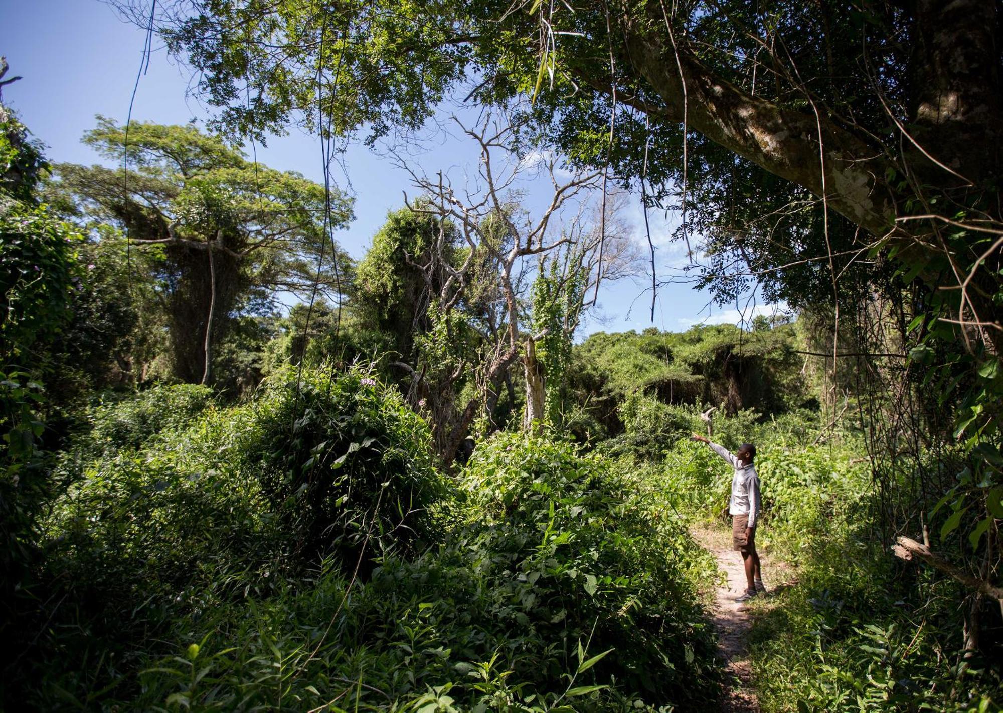 Royal Thonga Safari Lodge Sihangwane Екстериор снимка